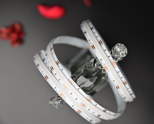 striscia principale pannocchia 1134led IP20 Flex Led Strips di 15w DC24V Rgb