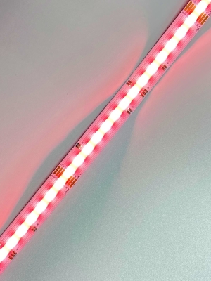 colore flessibile IP20 di lunghezza della luce di striscia della PANNOCCHIA LED di 4-In-1 RGBW 50mm
