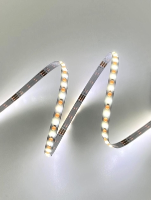 CC bianca dinamica 24V della striscia della PANNOCCHIA IL TDC LED di CAT Flexible Dot
