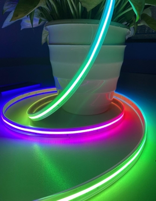 Luce di striscia flessibile di RGB della PANNOCCHIA del pixel IP65